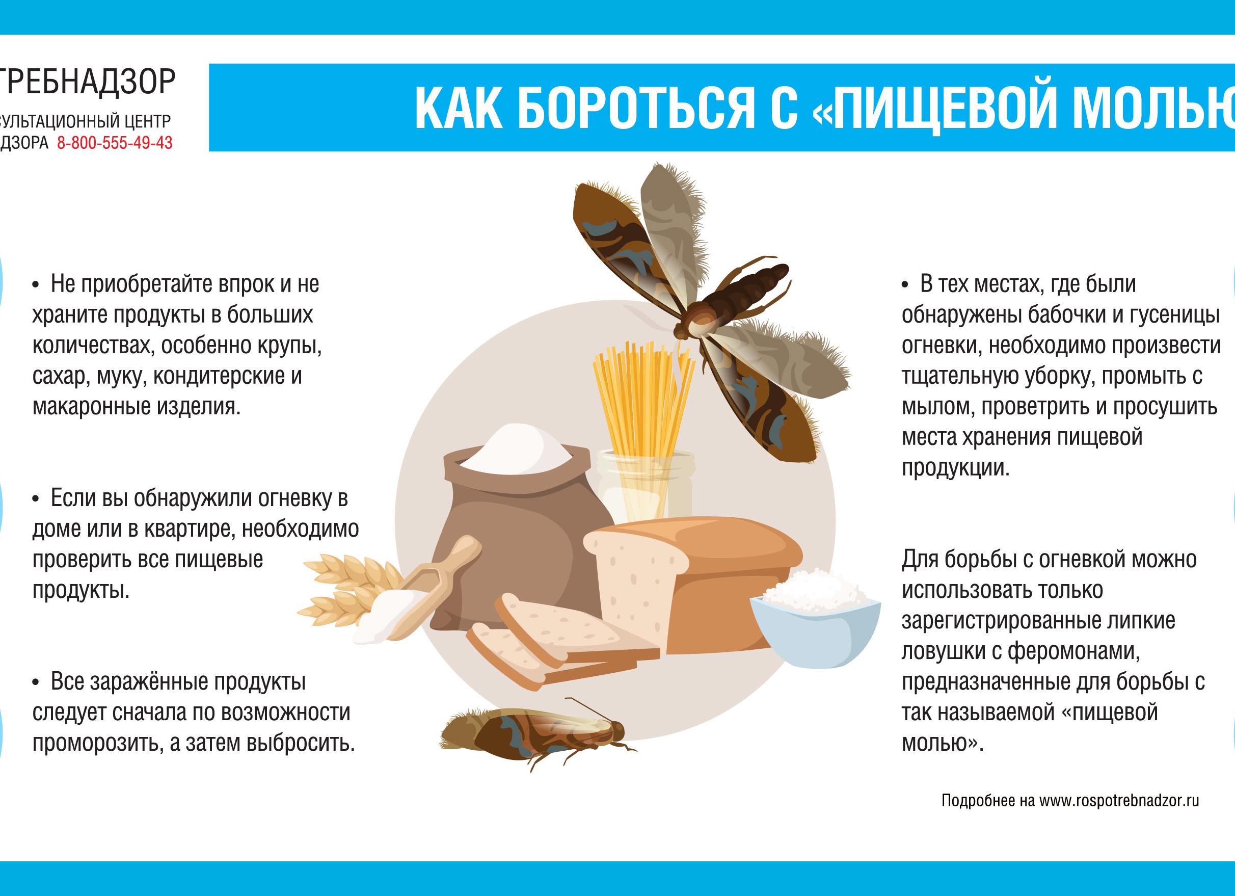 Пищевая моль как избавиться