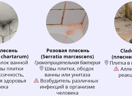 Грибок в ванной как избавиться